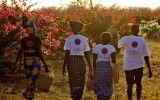 Allow us to introduce – The East African Petal Company